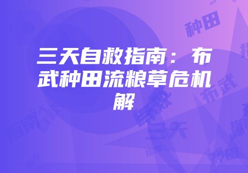 三天自救指南：布武种田流粮草危机解