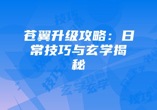 苍翼升级攻略：日常技巧与玄学揭秘