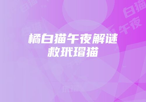 橘白猫午夜解谜救玳瑁猫