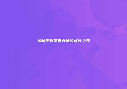 从新手到项目大神的成长之路