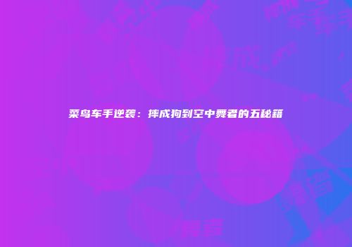 菜鸟车手逆袭：摔成狗到空中舞者的五秘籍