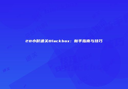 28小时通关Blackbox:新手指南与技巧