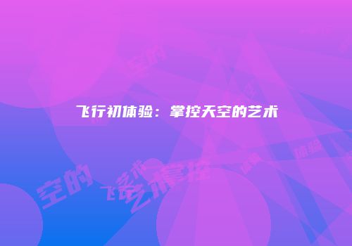 飞行初体验：掌控天空的艺术