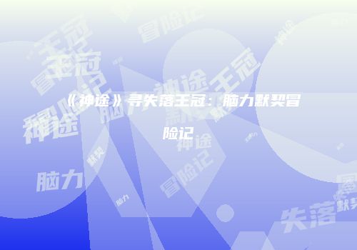《神途》寻失落王冠：脑力默契冒险记