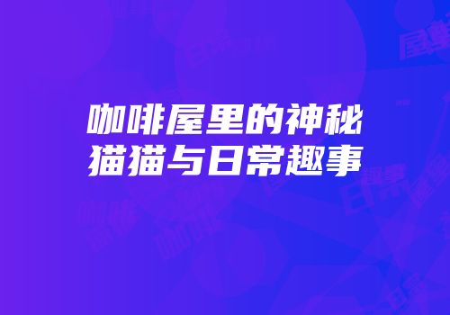 咖啡屋里的神秘猫猫与日常趣事