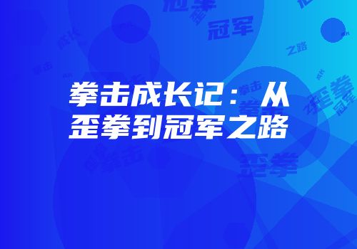 拳击成长记：从歪拳到冠军之路