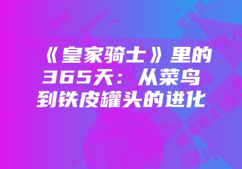 《皇家骑士》里的365天：从菜鸟到铁皮罐头的进化