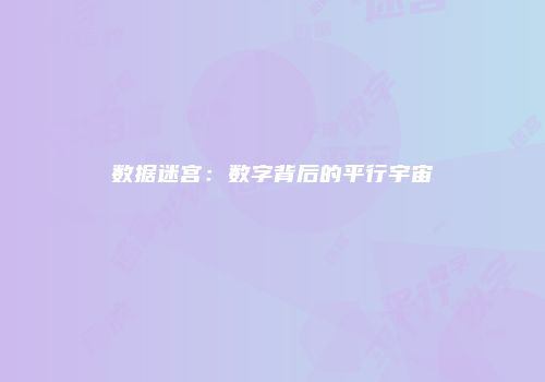 数据迷宫：数字背后的平行宇宙