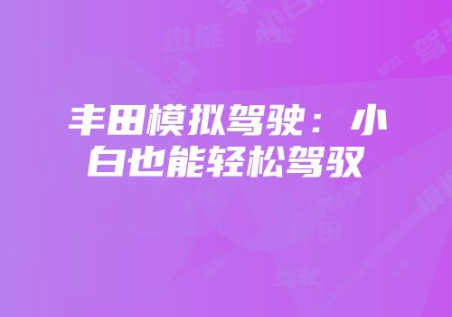 丰田模拟驾驶：小白也能轻松驾驭