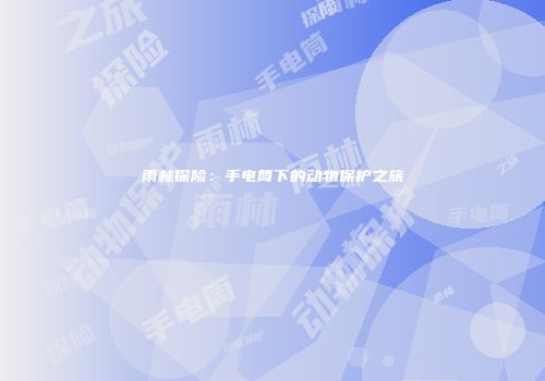 雨林探险：手电筒下的动物保护之旅