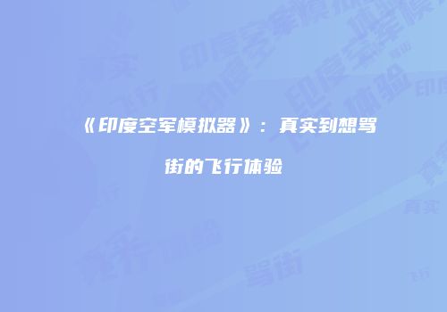《印度空军模拟器》：真实到想骂街的飞行体验