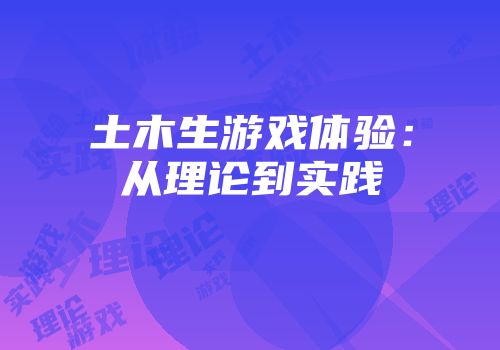 土木生游戏体验:从理论到实践
