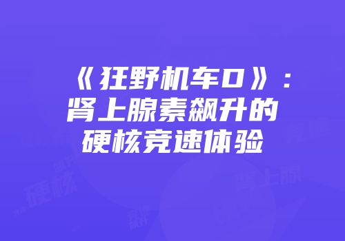 《狂野机车D》：肾上腺素飙升的硬核竞速体验