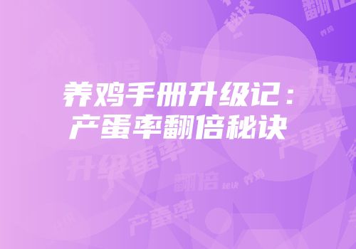 养鸡手册升级记:产蛋率翻倍秘诀