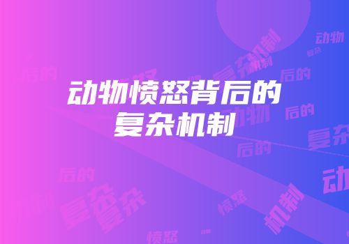 动物愤怒背后的复杂机制