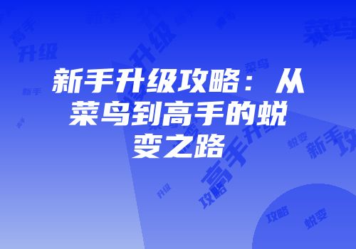 新手升级攻略：从菜鸟到高手的蜕变之路