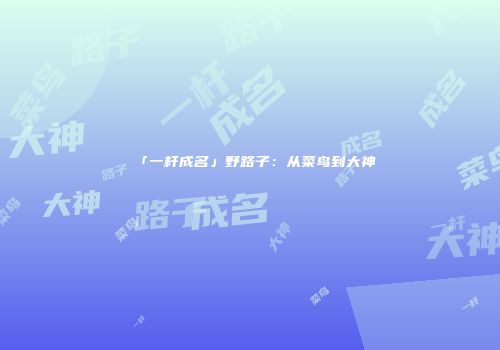 「一杆成名」野路子：从菜鸟到大神