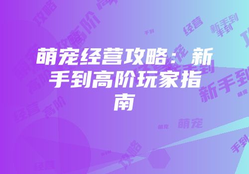 萌宠经营攻略：新手到高阶玩家指南