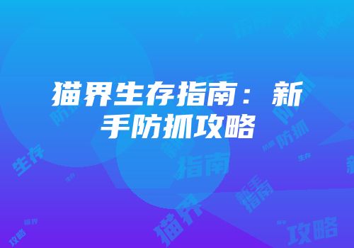 猫界生存指南：新手防抓攻略