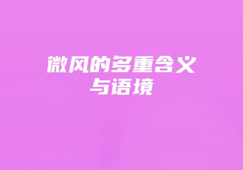 微风的多重含义与语境