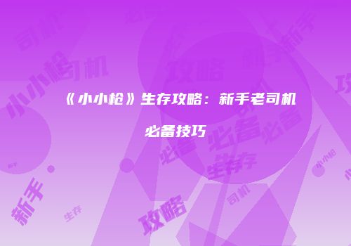 《小小枪》生存攻略：新手老司机必备技巧