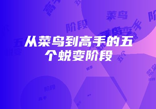 从菜鸟到高手的五个蜕变阶段