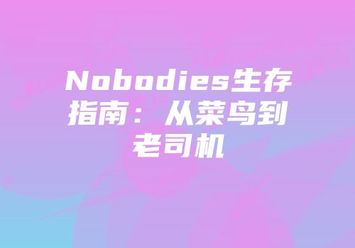 Nobodies生存指南：从菜鸟到老司机