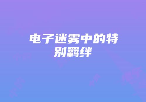 电子迷雾中的特别羁绊