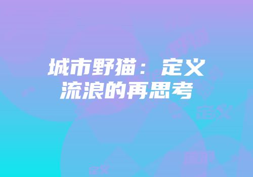 城市野猫：定义流浪的再思考