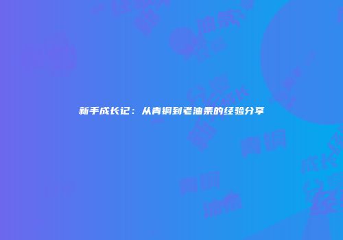 新手成长记：从青铜到老油条的经验分享
