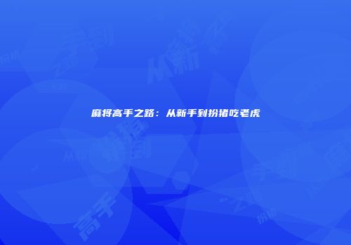 麻将高手之路:从新手到扮猪吃老虎