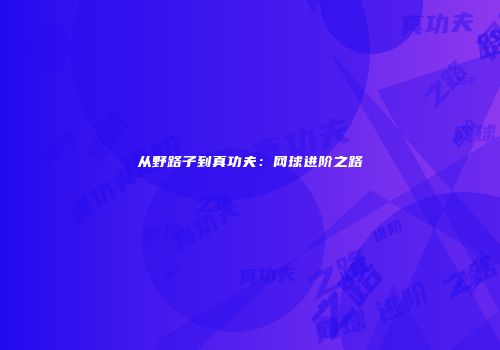 从野路子到真功夫：网球进阶之路