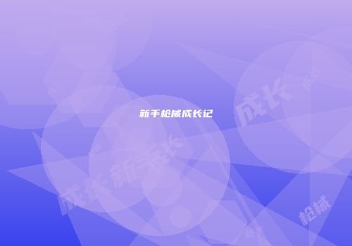 新手枪械成长记