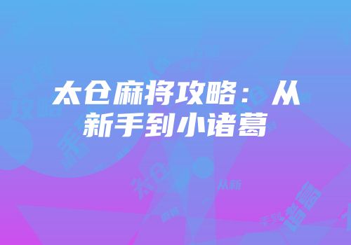 太仓麻将攻略:从新手到小诸葛